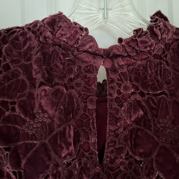 Anthropologie Burgandy Velvet Flutter Sleeve Top - Picture 3 of 9